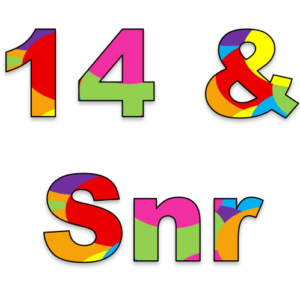 14/Snrs - Musical Theatre - Blue Suede Shoes